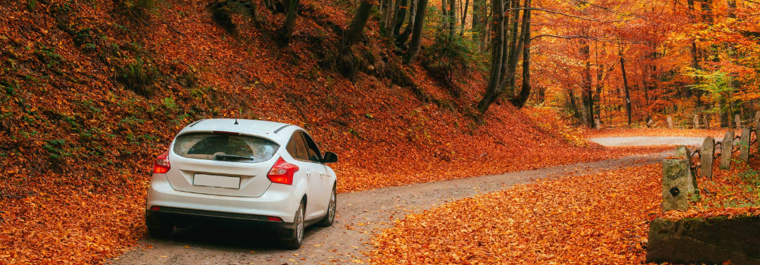 Simple Fall Driving Tips While Using a Car Rental in Covington, LA